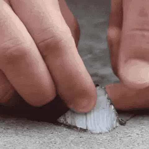 Close-up of a person using a tool to remove a piece of concrete.
